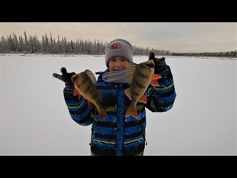 Видео: ГЛАВНЫЙ РЫБАК ПОПАЛ НА ПЕРВЫЙ ЛЁД, ЛОВИТ ШИКАРНУЮ РЫБУ А МЫ НЕРВНО КУРИМ)))... ЗИМНЯЯ РЫБАЛКА 22-23!