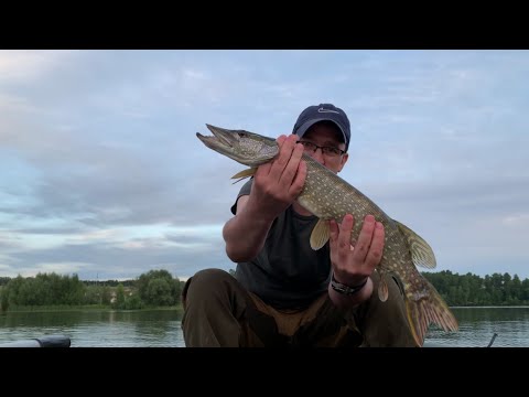 Видео: МОЙ МИКРОДЖИГ: советы и секреты; теория и практика. Окунь и крупная щука на микроджиг.