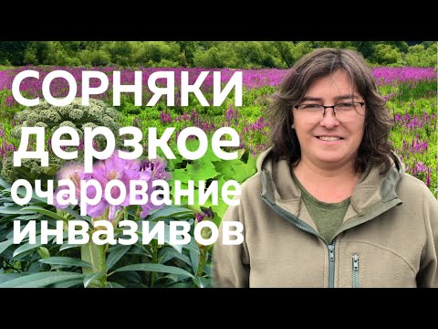 Видео: Сорняки. Дерзкое очарование инвазивов