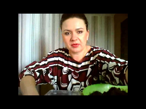 Видео: Левкой И Маттиола - посев без потерь! Уход.