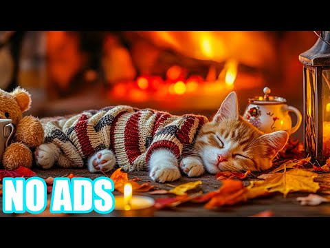 Видео: 12-часовая музыка для кошек, снижающая тревожность💖Успокаивающая музыка для кошек🐾Успокаивающая му