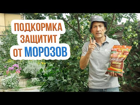 Видео: Подкормка деревьев осенью - СДЕЛАЙТЕ обязательно! Особенности осенней подкормки плодовых деревьев