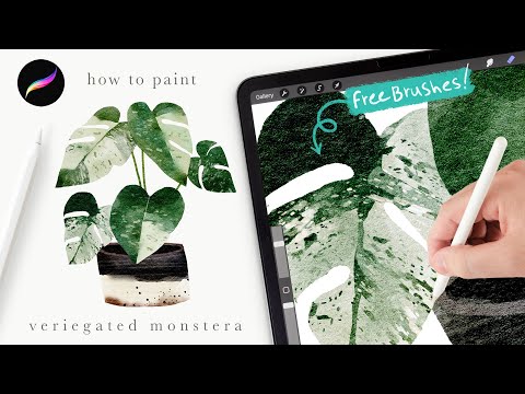 Видео: Давайте нарисуем комнатное растение монстера акварелью 🪴 Советы и рекомендации Procreate для начи...