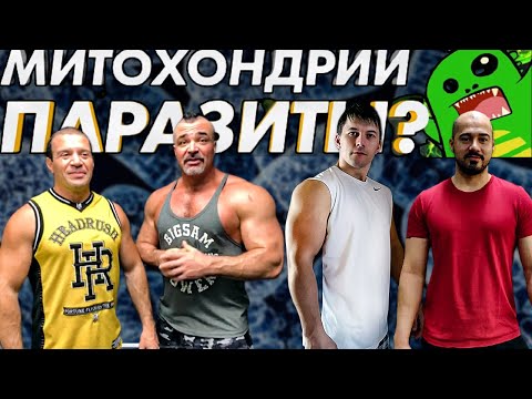 Видео: Стрим. Митохондрии паразиты? Как часто тренироваться?  Егор Рубанович, Стефан Диас, Хосе, Замятин