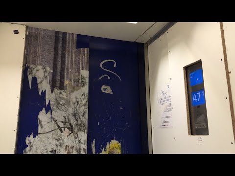 Видео: (60 FPS) СКОРОСТНОЙ ЛИФТ KONE 2016 Г 1275 КГ 17 ПАСС В ЖК «САВЁЛОВСКИЙ СИТИ» (НОВОДМИТРОВСКАЯ 2К6)