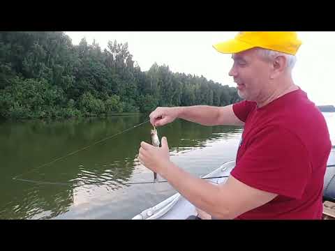Видео: Рыбалка летом на Вазузе