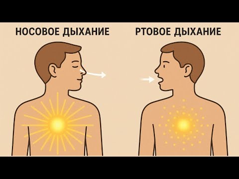 Видео: Влияние дыхания через нос и рот на распределение энергии