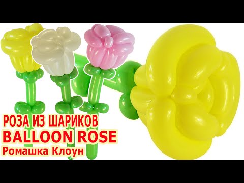 Видео: РОЗА ИЗ ДЛИННЫХ ШАРИКОВ ШДМ как сделать Balloon Rose Flower TUTORIAL