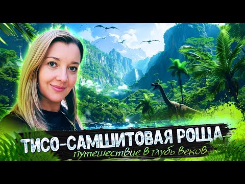 Видео: ТИСО-САМШИТОВАЯ РОЩА - Путешествие в глубь веков #сочи #хоста #всеосочи