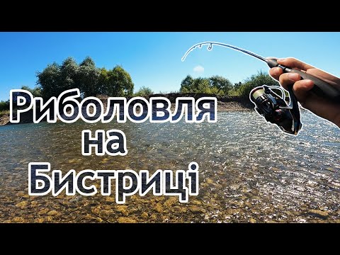 Видео: БИСТРИЦЯ ПОРАДУВАЛА ГАРНИМ РОЗМІРОМ ФОРЕЛІ! Риболовля на Бистриці-Надвірнянській.