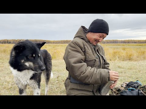 Видео: Күһүҥҥү кус - 6 ч I Ыттарбыт өлөрсө сыстылар I Профи кусчуту көрүстүм