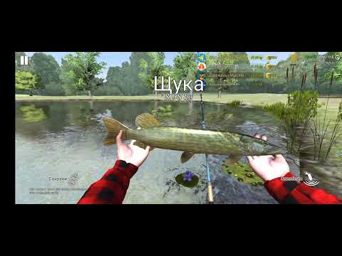 Видео: Рыбалка на турнире 