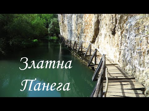 Видео: Златна Панега