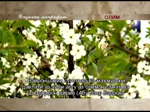 Видео: Хазинаи маърифат - кисми 3