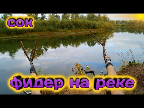 Видео: Ночной фидер на реке Сок. Рыбалка на леща#рыбалка на фидер