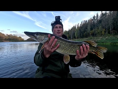 Видео: На Рыбалку, для души!!! Осенняя рыбалка на Даугаве (Двина)!