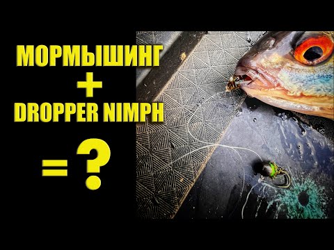 Видео: Мормышинг + Dropper Nyph = ?