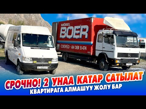 Видео: 2 унаа САТЫЛАТ же БАТИРГЕ алмашат ~ Абалдары жакшы. Аласыз ИШТЕТЕСИЗ