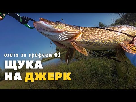 Видео: Щука на джеркбейты | "ОХОТА ЗА ТРОФЕЕМ" серия №1