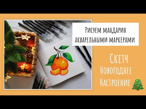 Видео: РИСУЕМ МАНДАРИН. НОВОГОДНЕЕ НАСТРОЕНИЕ. СКЕТЧ АКВАРЕЛЬНЫМИ МАРКЕРАМИ от бренда @collart_official