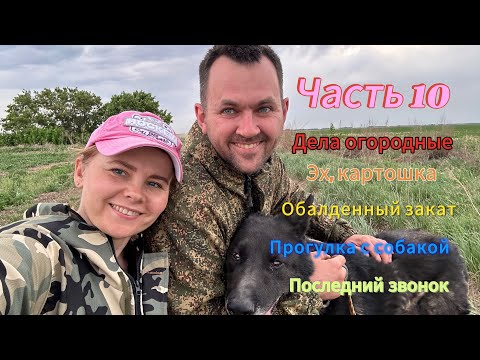 Видео: Жизнь в селе, часть 10. Огородно-полевая, красивейшие закаты и последний звонок