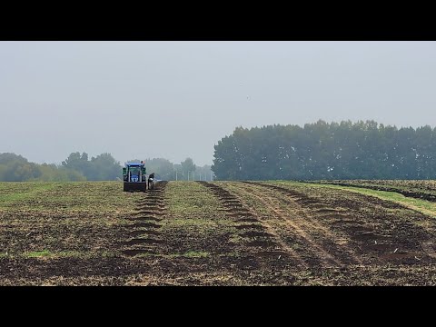 Видео: САД С НУЛЯ 3: садовая доска, бурение и подготовка лунок с МТЗ 82.1 и Solis 90