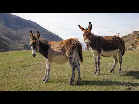 Видео: на машине по Кабардино - Балкарии . что посмотреть?