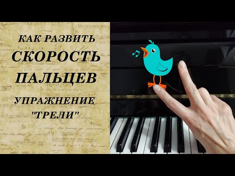 Видео: 🇺🇦УПРАЖНЕНИЕ ДЛЯ СКОРОСТИ ПАЛЬЦЕВ "ТРЕЛИ". Ускоряй темп, когд начнет получаться в медленном.