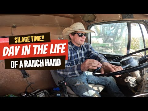 Видео: Дробильные механизмы для измельчения СИЛОСА 2025!