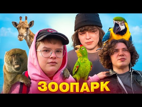 Видео: КАША, ЖОЖО, РОСТИК И ПОНЯ ХОДЯТ В ЗООПАРК | ВСТРЕЧА В МОСКВЕ
