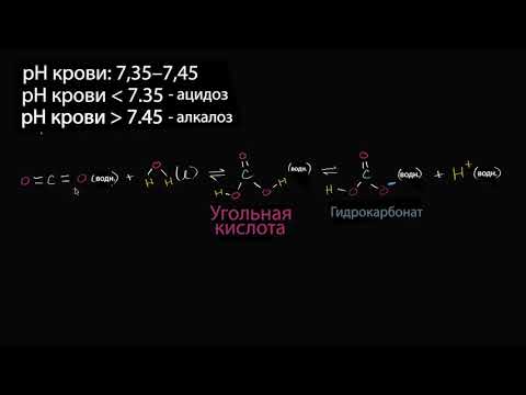 Видео: Введение в буферные растворы (видео 1) | Буферные растворы | Химия