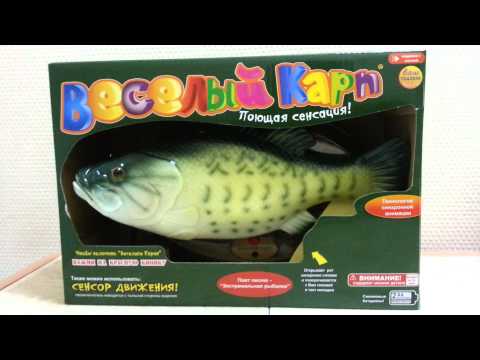 Видео: Поющая рыба