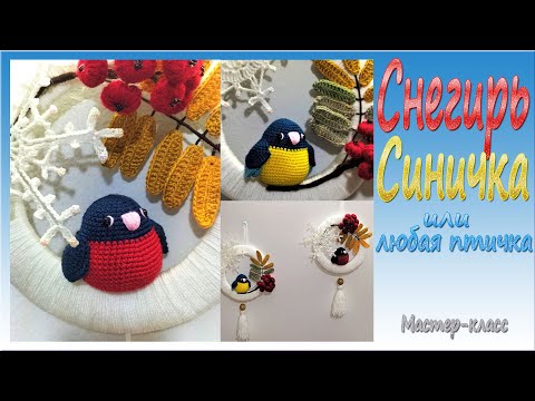 Видео: Снегирь,Синичка/Мастер-класс/Bullfinch,Tit Crochet/Master-class/English Pattern in Description