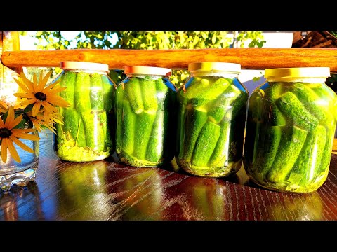 Видео: 🥒🥒 Малосольні Огірки в Селі. Самий Простий та Легкий Рецепт Кислих Огурчиків.🥒🥒