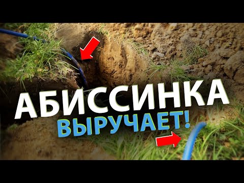 Видео: Что делать ЕСЛИ НЕТ ВОДЫ на участке и доступна только дорогая и ржавая?