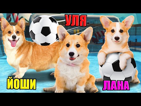 Видео: СТАЛИ КОРГИ В НОВОГОДНЕМ ОБНОВЛЕНИИ!