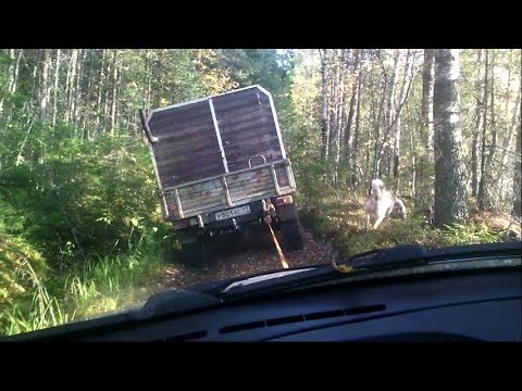 Видео: В ГОСТИ К ПРОМЫСЛОВИКАМ\ РЫБАЛКА НА НАЛИМА\ ДОНКИ ЗАКИДУШКИ\ ТЯЖЕЛАЯ НОЧЬ\ СЕНТЯБРЬ 2018!1