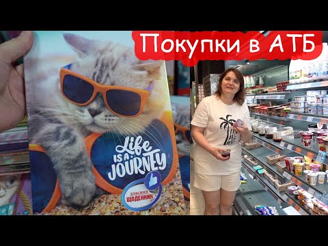 Видео: VLOG У нас уже бэк ту скул