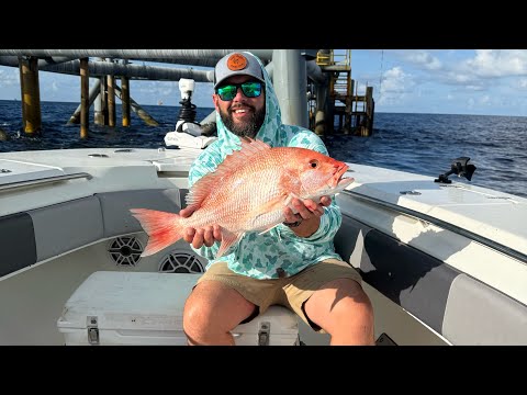 Видео: КРАСНЫЙ СНЭППЕР | Поймай и приготовь | Фуршон, Ла.