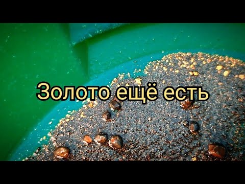 Видео: Золото ещё есть