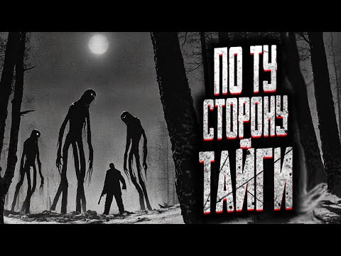 Видео: ОХОТНИК НАШЕЛ ОБЛОМКИ САМОЛЁТА В ТАЙГЕ! Страшные истории на ночь. Мистика. Страшилки на ночь.