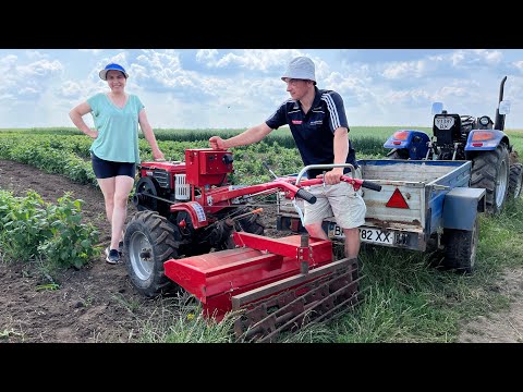 Видео: Один без одного не можуть 🚜💥💥💥 Паштет! Тюкуєм сіно!