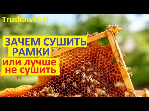 Видео: #Пчёлы. Обсушка рамок, это нужно для пчёл? Или можно не сушить? Какие последствия будут?
