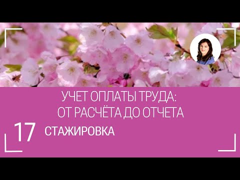 Видео: Учет оплаты труда: от расчета до отчета.