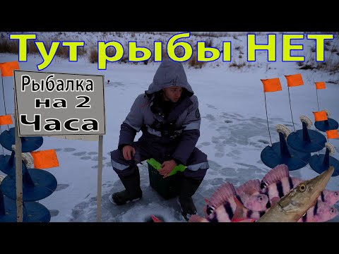 Видео: Зимний выезд за Щукой и Плотвой на р.Елань в Саратовской области