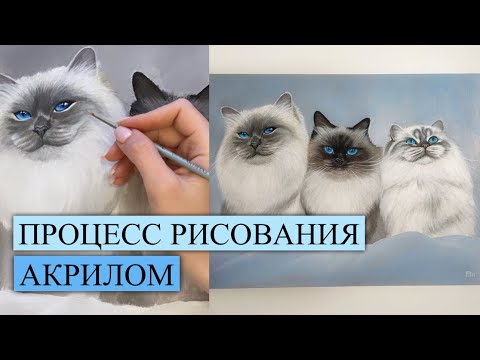 Видео: ПРОЦЕСС РИСОВАНИЯ КОШЕК АКРИЛОМ