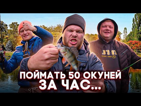 Видео: ПОЙМАТЬ 50 ОКУНЕЙ ЗА ЧАС…