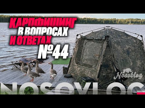 Видео: Карпфишинг в вопросах и ответах #44, Колесников А.