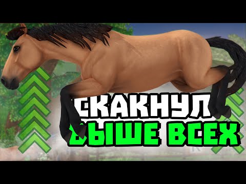 Видео: ЧТО ГЛОБАЛЬНОГО ИЗМЕНИЛИ В НОВЫХ ЛОШАДЯХ STAR STABLE