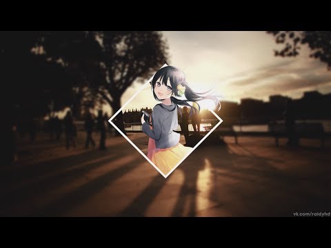 Видео: кошка скотч - я сошёл с ума